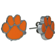 Stud Earrings
